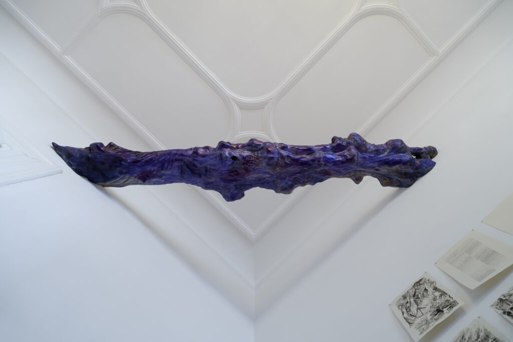 THE LAST UNICORN, Installation view, Rem Denizen blue ink