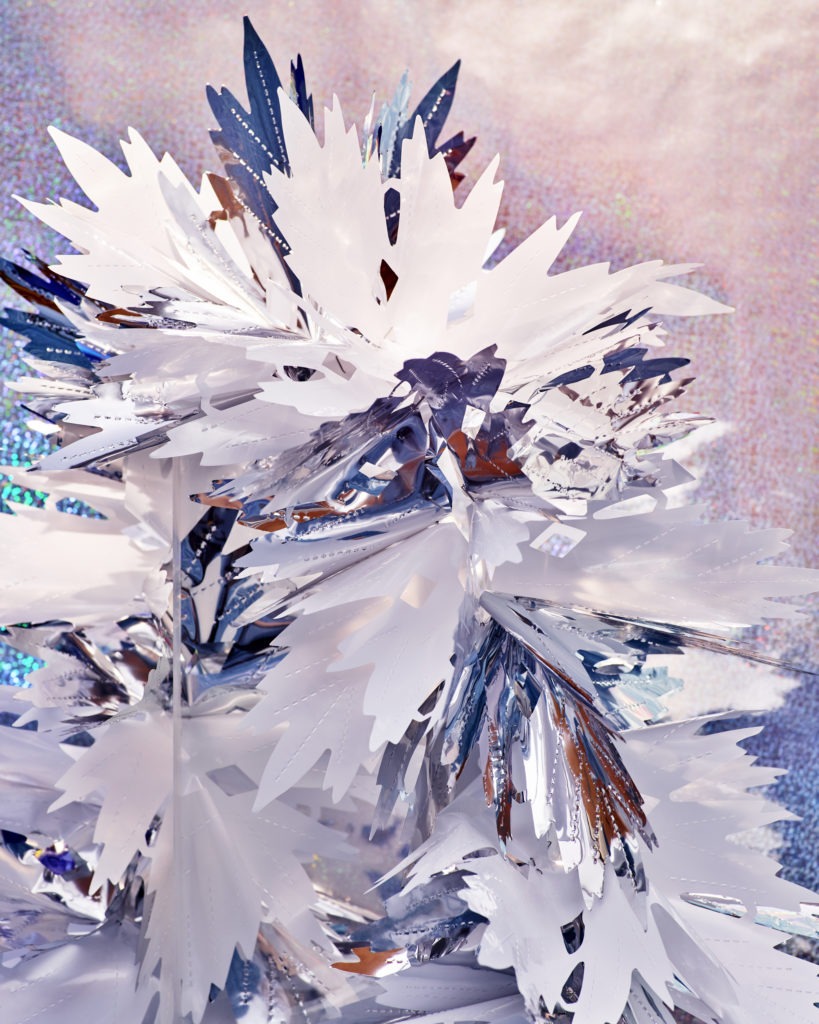 Marius Glauer, Birdy 1