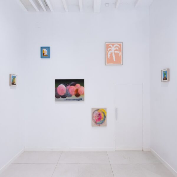 BWW_Palma_Installation_2024-2